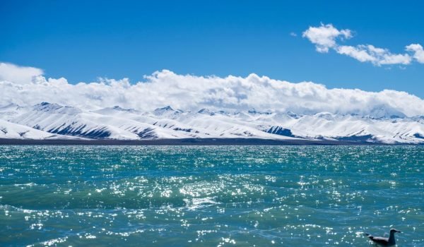 A¾eaae 773290547967295504 1 Ptjlm14zyq21nul5h0pg1fdlt5ll7atenz0ldjvxrg Explore The Wonders Of Tibet With Our Exclusive Tour Packages